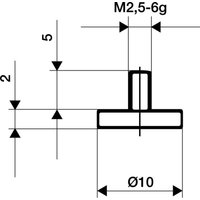 Messeinsatz ø 20 mm plan M2,5 Stahl passend zu Messuhren von KÄFER