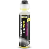 KÄRCHER Scheibenreiniger 250 ml von KÄRCHER