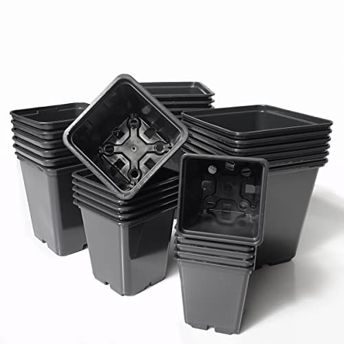 KAGM Blumentopf Containertopf Anzuchttopf Pflanztopf Pflanzcontainer 10 STK. - 13x13x13-1,4L - Profi Vierkant-Töpfe KAGM Blumentopf Containertopf Anzuchttopf Pflanztopf Pflanzcontainer 10 STK. - 13x13x13-1,4L - Profi Vierkant-Töpfe von KAGM