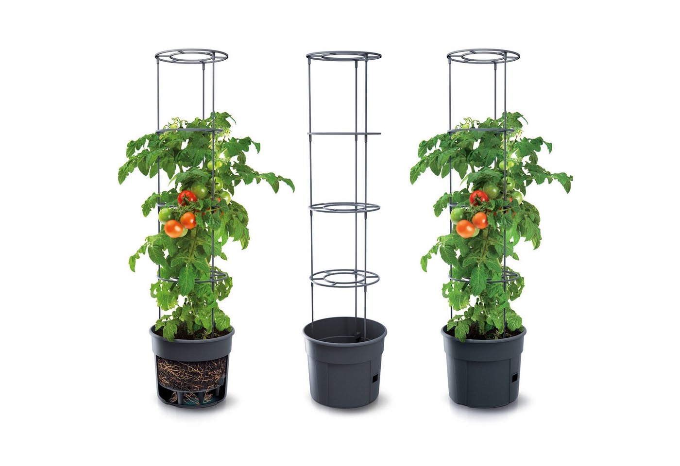 KAGM Pflanzkübel Blumenkübel Rankhilfe Blumentopf für Tomaten Tomatentopf 3er SET 12L (Tomatentopf, Rankhilfe) von KAGM