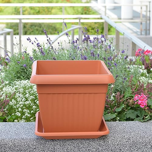 KAGM Quadratischer Blumenkübel Blumentopf Pflanztopf in Terracotta - 24cm x 24cm | H = 20cm / mit Untersetzer von KAGM