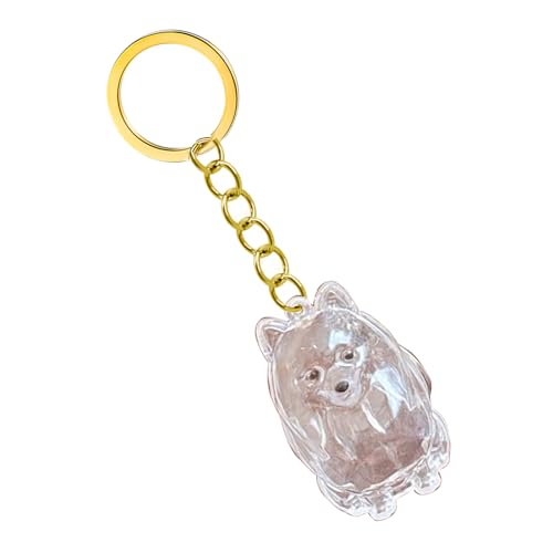 KAHDGSS Clear Pet Memorial Keychain Haarflasche Für Die Konservierung Von Hunde Und Asche Kisten Box Schmuckschachtel Wasserdichtes Speicherschlüsselspeicher Keychain Sentimental Geschenk KAHDGSS Clear Pet Memorial Keychain Haarflasche Für Die Konservierung Von Hunde Und Asche Kisten Box Schmuckschachtel Wasserdichtes Speicherschlüsselspeicher Keychain Sentimental Geschenk von KAHDGSS