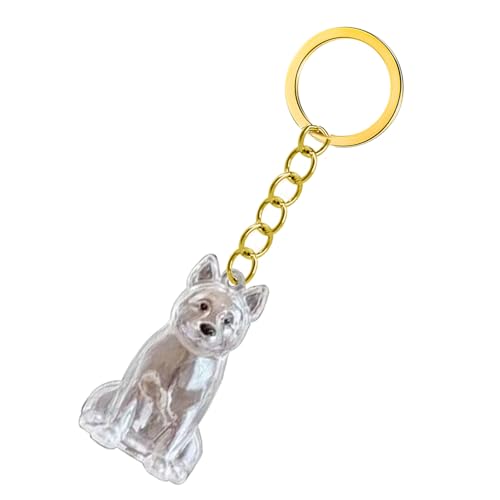 KAHDGSS Clear Pet Memorial Keychain Haarflasche Für Die Konservierung Von Hunde Und Asche Kisten Box Schmuckschachtel Wasserdichtes Speicherschlüsselspeicher Keychain Sentimental Geschenk KAHDGSS Clear Pet Memorial Keychain Haarflasche Für Die Konservierung Von Hunde Und Asche Kisten Box Schmuckschachtel Wasserdichtes Speicherschlüsselspeicher Keychain Sentimental Geschenk von KAHDGSS