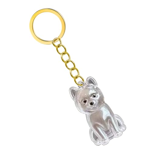KAHDGSS Clear Pet Memorial Keychain Haarflasche Für Die Konservierung Von Hunde Und Asche Kisten Box Schmuckschachtel Wasserdichtes Speicherschlüsselspeicher Keychain Sentimental Geschenk KAHDGSS Clear Pet Memorial Keychain Haarflasche Für Die Konservierung Von Hunde Und Asche Kisten Box Schmuckschachtel Wasserdichtes Speicherschlüsselspeicher Keychain Sentimental Geschenk von KAHDGSS