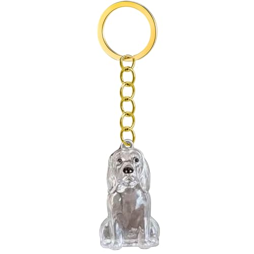 KAHDGSS Clear Pet Memorial Keychain Haarflasche Für Die Konservierung Von Hunde Und Asche Kisten Box Schmuckschachtel Wasserdichtes Speicherschlüsselspeicher Keychain Sentimental Geschenk KAHDGSS Clear Pet Memorial Keychain Haarflasche Für Die Konservierung Von Hunde Und Asche Kisten Box Schmuckschachtel Wasserdichtes Speicherschlüsselspeicher Keychain Sentimental Geschenk von KAHDGSS