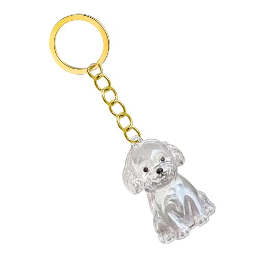 KAHDGSS Clear Pet Memorial Keychain Haarflasche Für Die Konservierung Von Hunde Und Asche Kisten Box Schmuckschachtel Wasserdichtes Speicherschlüsselspeicher Keychain Sentimental Geschenk KAHDGSS Clear Pet Memorial Keychain Haarflasche Für Die Konservierung Von Hunde Und Asche Kisten Box Schmuckschachtel Wasserdichtes Speicherschlüsselspeicher Keychain Sentimental Geschenk von KAHDGSS