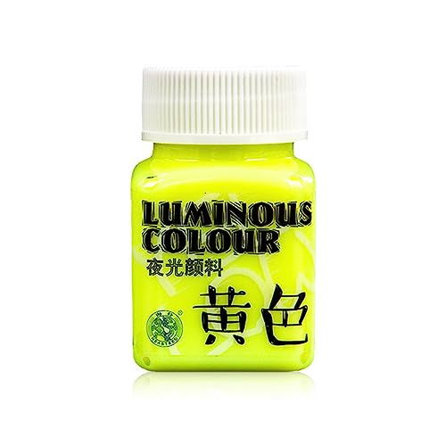 KAHDGSS Glühen In Der Dunklen Farbe Fluoreszierende Farbe Schwarzlicht Aktiviertes Glühen In Der Dunklen Acrylfarbe Für Kunstwerk Projekte von KAHDGSS