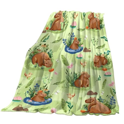 KAHDGSS Plüsch Wurfdecke Für Sofa Und Bett Weich Warm Reversibler Raum Büro Snooze Flanelldecke von KAHDGSS