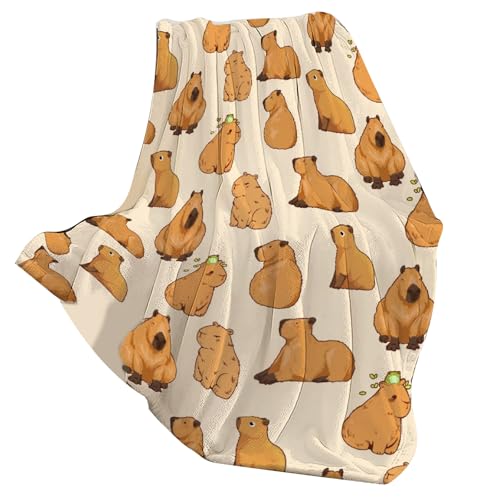 KAHDGSS Plüsch Wurfdecke Für Sofa Und Bett Weich Warm Reversibler Raum Büro Snooze Flanelldecke von KAHDGSS