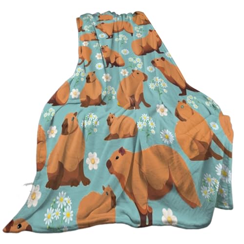 KAHDGSS Plüsch Wurfdecke Für Sofa Und Bett Weich Warm Reversibler Raum Büro Snooze Flanelldecke von KAHDGSS