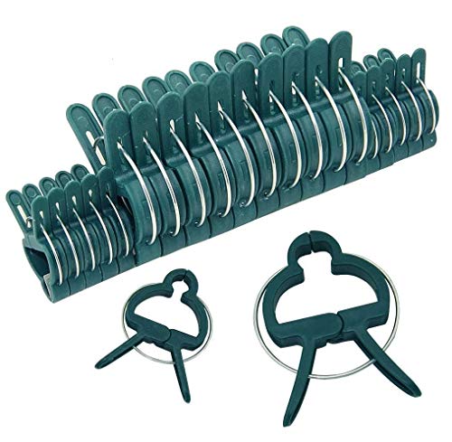 KAHEIGN 100Pcs Pflanzenclips Garten Pflanzenklammern, 2 Größen Wiederverwendbare Gartenpflanze Clips Unterstützende Clips für kleine & große Triebe Spaliere Rosenbögen Rankhilfen von KAHEIGN