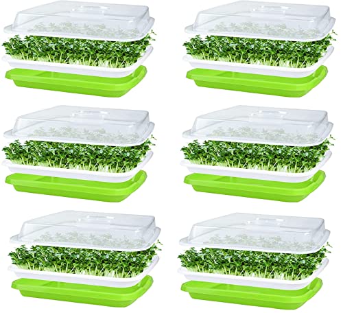 KAHEIGN 6Pcs Keimschalen für Sprossen, Seed Sprouter Tray 32cm x 26cm Keimschale Sprossen mit Deckel für große Samen Keimung Tablett Keimbox für Anzucht von Mungbohnen Alfalfa Weizengras von KAHEIGN