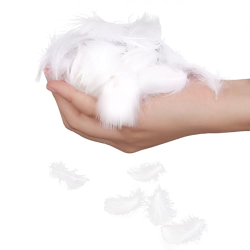 400 Stück Weiße Federn zum Basteln, Federn Weiss Natürliche Feder, Flauschig Federn Weiß, Kleine Federn zum Basteln Weiß für DIY Handwerk und Hochzeit Party Dekoration, 4-8cm 400 Stück Weiße Federn zum Basteln, Federn Weiss Natürliche Feder, Flauschig Federn Weiß, Kleine Federn zum Basteln Weiß für DIY Handwerk und Hochzeit Party Dekoration, 4-8cm von KAHOUI