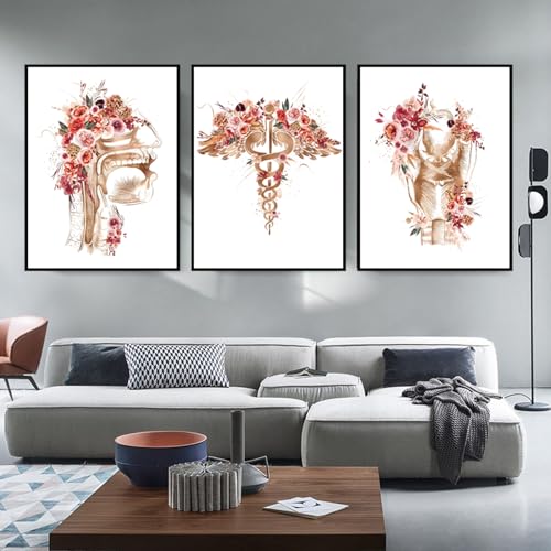 Blumen Skelett Organ Anatomie Leinwand Bilder, Medizinische Kunst Wandbilder Klinik Krankenhaus, Menschliches Muskelsystem Poster Set Kunst Medical Office, Kein Rahmen (Organ Anatomie, 3x70x100) von KAIDAARTLH