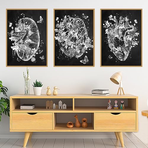 KAIDAARTLH Abstrakt Medizin Anatomie Poster, Organe Herz Gehirn Leinwandbilder Arztpraxis Dekoration, Kunstdruck Wandbilder für Krankenhaus Klinik Deko-Rahmenlos(A,3x20x30cm) von KAIDAARTLH