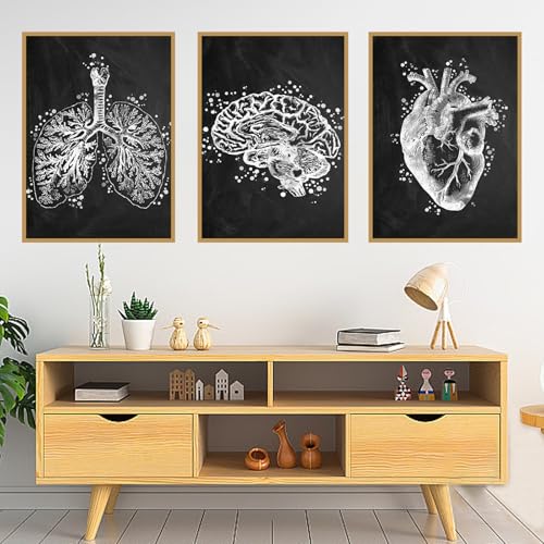 KAIDAARTLH Abstrakt Medizin Anatomie Poster, Organe Herz Gehirn Leinwandbilder Arztpraxis Dekoration, Kunstdruck Wandbilder für Krankenhaus Klinik Deko-Rahmenlos(B,3x60x90cm) von KAIDAARTLH