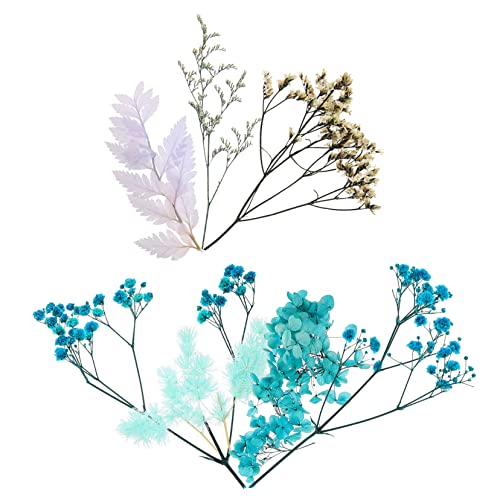 KAILIKETIY 1satz Getrocknete Blumen Für -Kerzen Natürliche Gepresste Blüten Für Kreative Bastelprojekte Für Aromakerzen Und Persönliche KAILIKETIY 1satz Getrocknete Blumen Für -Kerzen Natürliche Gepresste Blüten Für Kreative Bastelprojekte Für Aromakerzen Und Persönliche von KAILIKETIY