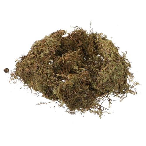 KAILIKETIY 2Packungen Pack Getrocknetes Moos für DIY Landschaftsbau Natürliches Moos für Hamster Einstreu Dekoratives Moos für Märchengärten und Terrarien von KAILIKETIY