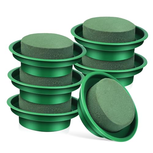KAILIKETIY 6 Stück Runde Blumensteckschaum Hochabsorbierendes Floral Foam für Gartenarrangements für Frische und Getrocknete KAILIKETIY 6 Stück Runde Blumensteckschaum Hochabsorbierendes Floral Foam für Gartenarrangements für Frische und Getrocknete von KAILIKETIY