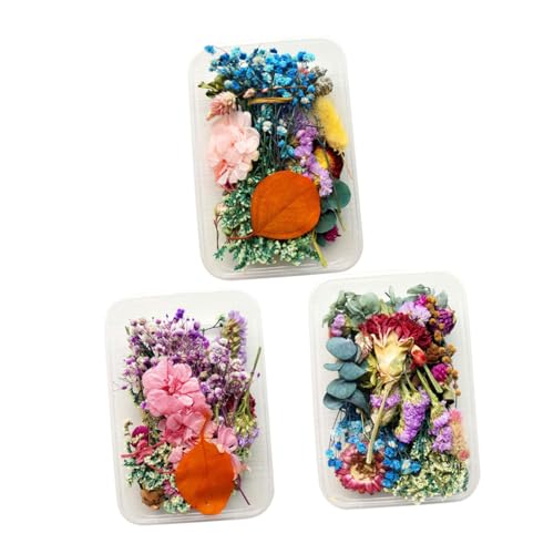 KAILIKETIY Getrocknete Blumen Satz – 3 Boxen Echte Trockenblumen für Selbstgemacht Kerzen Natürliche Blumendekoration für Aromatherapie Hochzeiten und Bastelprojekte KAILIKETIY Getrocknete Blumen Satz – 3 Boxen Echte Trockenblumen für Selbstgemacht Kerzen Natürliche Blumendekoration für Aromatherapie Hochzeiten und Bastelprojekte von KAILIKETIY