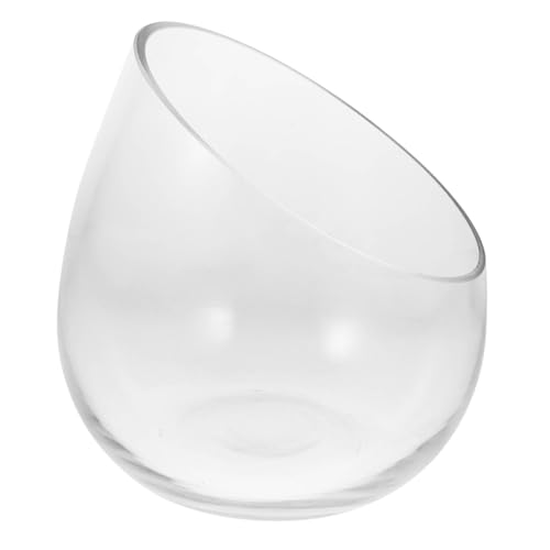 KAILIKETIY Hydroponische Glasvase Für Blumen Schräge Form Klare Farbe Ohne Ecken Robust Und Wiederverwendbar Eignet Sich Für Inneneinrichtung Und Tischdekoration KAILIKETIY Hydroponische Glasvase Für Blumen Schräge Form Klare Farbe Ohne Ecken Robust Und Wiederverwendbar Eignet Sich Für Inneneinrichtung Und Tischdekoration von KAILIKETIY