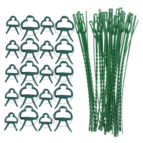 KAILIKETIY Pflanzenstützclips Klammern und Langen Bindebändern für Tomaten Kletterpflanzen Stabiler Halt von Zweigen und Stielen im Gemüsegarten KAILIKETIY Pflanzenstützclips Klammern und Langen Bindebändern für Tomaten Kletterpflanzen Stabiler Halt von Zweigen und Stielen im Gemüsegarten von KAILIKETIY