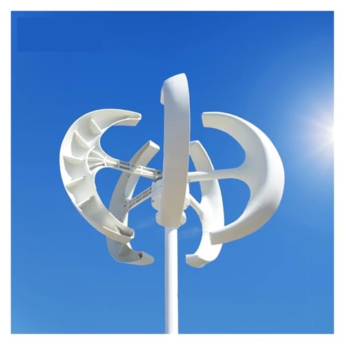 5000W Windgenerator Vertikale Achse Windgenerator Niedriger Start Niedriger Start Geschwindigkeit 12V 24V 48V Mühle mit MPPT-Ladegerät für die Stromerzeugung im Notfall (Whi 5000W Windgenerator Vertikale Achse Windgenerator Niedriger Start Niedriger Start Geschwindigkeit 12V 24V 48V Mühle mit MPPT-Ladegerät für die Stromerzeugung im Notfall (Whi von KAKAK