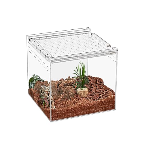 KAKOOTI Reptile Terrarium,17 x 17 x 15 cm Reptile Zuchtbox, magnetisches Acrylgehäuse, für Tarantula, Einsiedlerkrabbe, springende Spinne, Iguane, Leopard Gecko, Bartdrache, Insekt, Mantis, Skorpione. KAKOOTI Reptile Terrarium,17 x 17 x 15 cm Reptile Zuchtbox, magnetisches Acrylgehäuse, für Tarantula, Einsiedlerkrabbe, springende Spinne, Iguane, Leopard Gecko, Bartdrache, Insekt, Mantis, Skorpione. von KAKOOTI