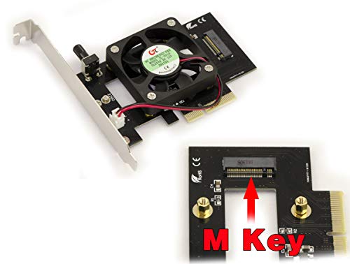 KALEA-INFORMATIQUE PCIe x4-Controller-Karte für M.2 PCIe SSDs mit aktiver Kühlung. von KALEA-INFORMATIQUE