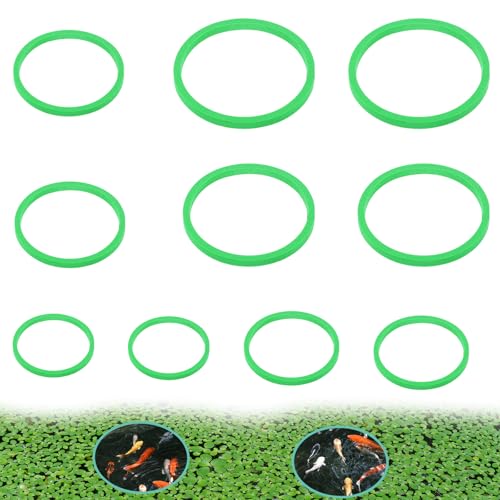 10 Stück Schwimmende Pflanzenringe 5 Größen Fischfutterring für Aquarien Schwimmender Futterring Floating Plant Rings zum Stelle Zu Halten oder Trennen Schwimmende Pflanzen 10 Stück Schwimmende Pflanzenringe 5 Größen Fischfutterring für Aquarien Schwimmender Futterring Floating Plant Rings zum Stelle Zu Halten oder Trennen Schwimmende Pflanzen von KALIONE