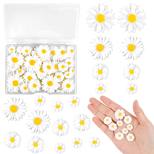 KALIONE 50 Stück Gänseblümchen Deko, Mini Harz Gänseblümchen für Handwerk kleine dekorative Gänseblümchen Blume Gänseblümchen Blumen Mini Gänseblümchen Harz Charms für DIY Handwerk Party Decoration von KALIONE