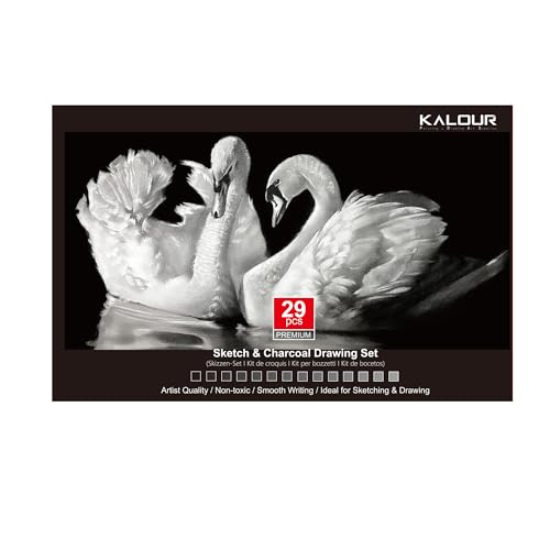 KALOUR Professionelles Set für Skizzen und Kohlenzeichnungen, 29 Teile, Kunstbedarf mit 14 Graphitstiften, Kohlwerkzeugen und Canvas-Tasche von KALOUR