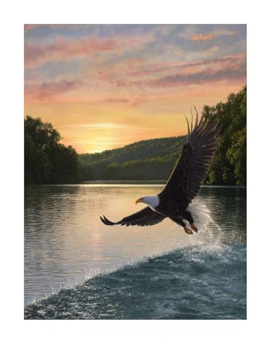 Diamond Painting See Diamond Painting Erwachsene Groß XXL 40x50cm Adler Full drill Daiment Malerei Erwachsene, 5D Diamant Art Mosaic Stickerei Bastelset Geschenk für Home Decor KSWF647 von KANGSONGWENJIAJU