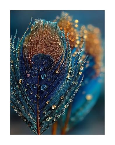 Diamond Painting Tier Diamond Painting Erwachsene Groß XXL 30x40 cm Feder Full drill Daiment Malerei Erwachsene, 5D Diamant Art Mosaic Stickerei Bastelset Geschenk für Home Decor KSWF573 von KANGSONGWENJIAJU