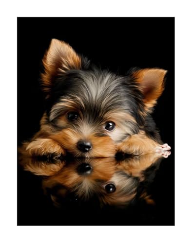 Diamond Painting Tier Diamond Painting Erwachsene Groß XXL 30x40 cm Hund Full drill Daiment Malerei Erwachsene, 5D Diamant Art Mosaic Stickerei Bastelset Geschenk für Home Decor KSWF633 von KANGSONGWENJIAJU