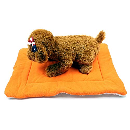 KANKOO Hundedecken Hundedecken Waschbar Welpendecken Weiche Decke Kätzchenbett Hundebettwäsche Katzendecke Dicke Haustierdecke Flauschige Katze Mat orange,S von KANKOO