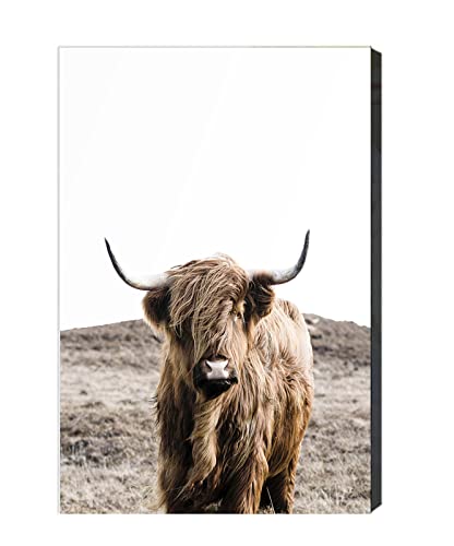 KAPOHU Brown Animal Print Nordic Poster Leinwand Malerei Highland Kuh Stier Wandkunst Wohnzimmer Dekoration Bilder Wohnkultur(40x50cm Mit rahmen) von KAPOHU
