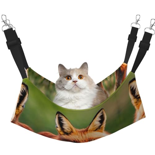 KAPPTYY Fox Hängematte, Bett mit verstellbaren Riemen und Metallhaken, doppelseitiges Bett KAPPTYY Fox Hängematte, Bett mit verstellbaren Riemen und Metallhaken, doppelseitiges Bett von KAPPTYY