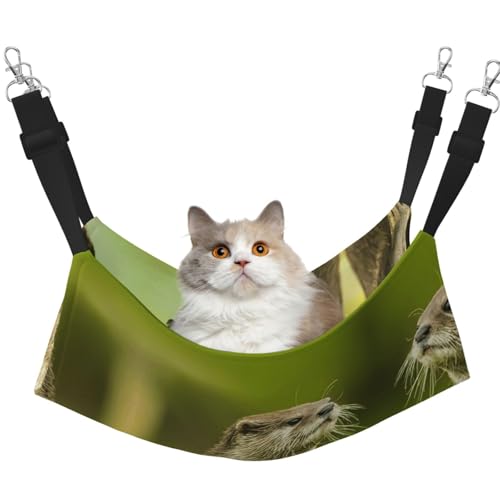 KAPPTYY Haustier-Hängemattenbett mit verstellbaren Riemen und Metallhaken, doppelseitiges Bett mit Krallen-Otter-Design von KAPPTYY