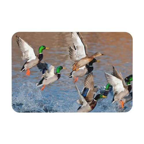 KAPPTYY Mallard Ducks Abtropfmatte mit Kieselgur-Motiv, saugfähig, passt zu jeder Theke und kann vielseitig verwendet werden KAPPTYY Mallard Ducks Abtropfmatte mit Kieselgur-Motiv, saugfähig, passt zu jeder Theke und kann vielseitig verwendet werden von KAPPTYY