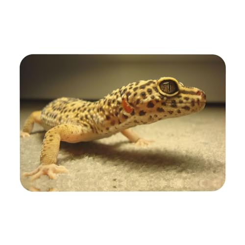 Sand Leopard Gecko Printing Dish Drying Mat Diatomeous Earth Absorbent Mat Match Any Counter to Multiple Usage for Home von KAPPTYY