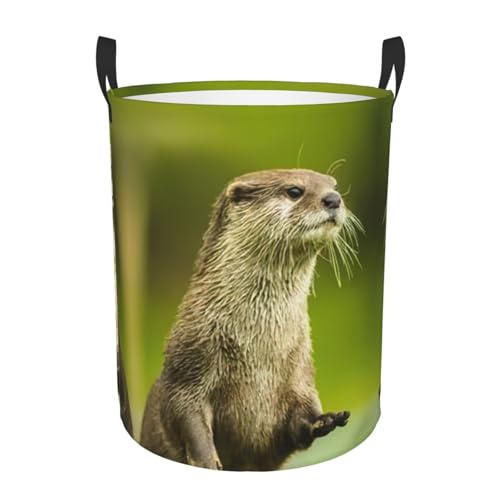 Wäschekorb mit Otter-Motiv, rund, stehendes Design, funktioniert in Bad und Schrank Wäschekorb mit Otter-Motiv, rund, stehendes Design, funktioniert in Bad und Schrank von KAPPTYY