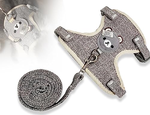 KAPSING Kaninchen Leine, Verstellbares Kaninchen zubehoer, Hasen zubehör mit Elastischer Leine, katzenleine mit Geschirr für Kleintiere Hasen Katzen Outdoor Gehen von KAPSING