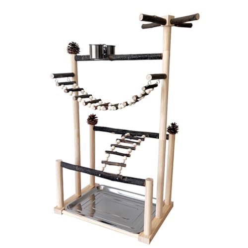 Vogel-Spielständer aus Holz mit abnehmbarer Reinigungsschale, Futterbecher, Metallschrauben, Kletterleiter für Papageien, leicht zu reinigen, Papageien-Spielzeugstation Vogel-Spielständer aus Holz mit abnehmbarer Reinigungsschale, Futterbecher, Metallschrauben, Kletterleiter für Papageien, leicht zu reinigen, Papageien-Spielzeugstation von KAQNTUD