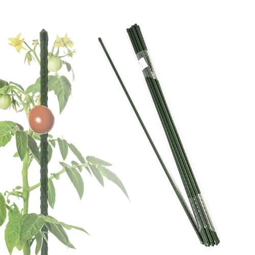 KARAT Rankstab Stange 120cm, 10 Stück für Kletterpflanzen, Tomaten, Gurken oder Blumen Pflanzenhalter Rankhilfe für Zimmerpflanzen aus Kunststoff & Metall 10 Stück, 11mm von KARAT