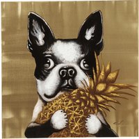 Bild Touched Dog with Pineapple 80x80cm von KARE DESIGN