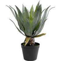 Deko Pflanze Agave 40cm von KARE DESIGN