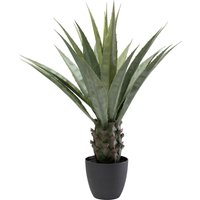 Deko Pflanze Agave 85cm von KARE DESIGN