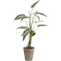 Deko Pflanze Alocasia 80cm von KARE DESIGN