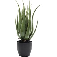 Deko Pflanze Aloe 69cm von KARE DESIGN